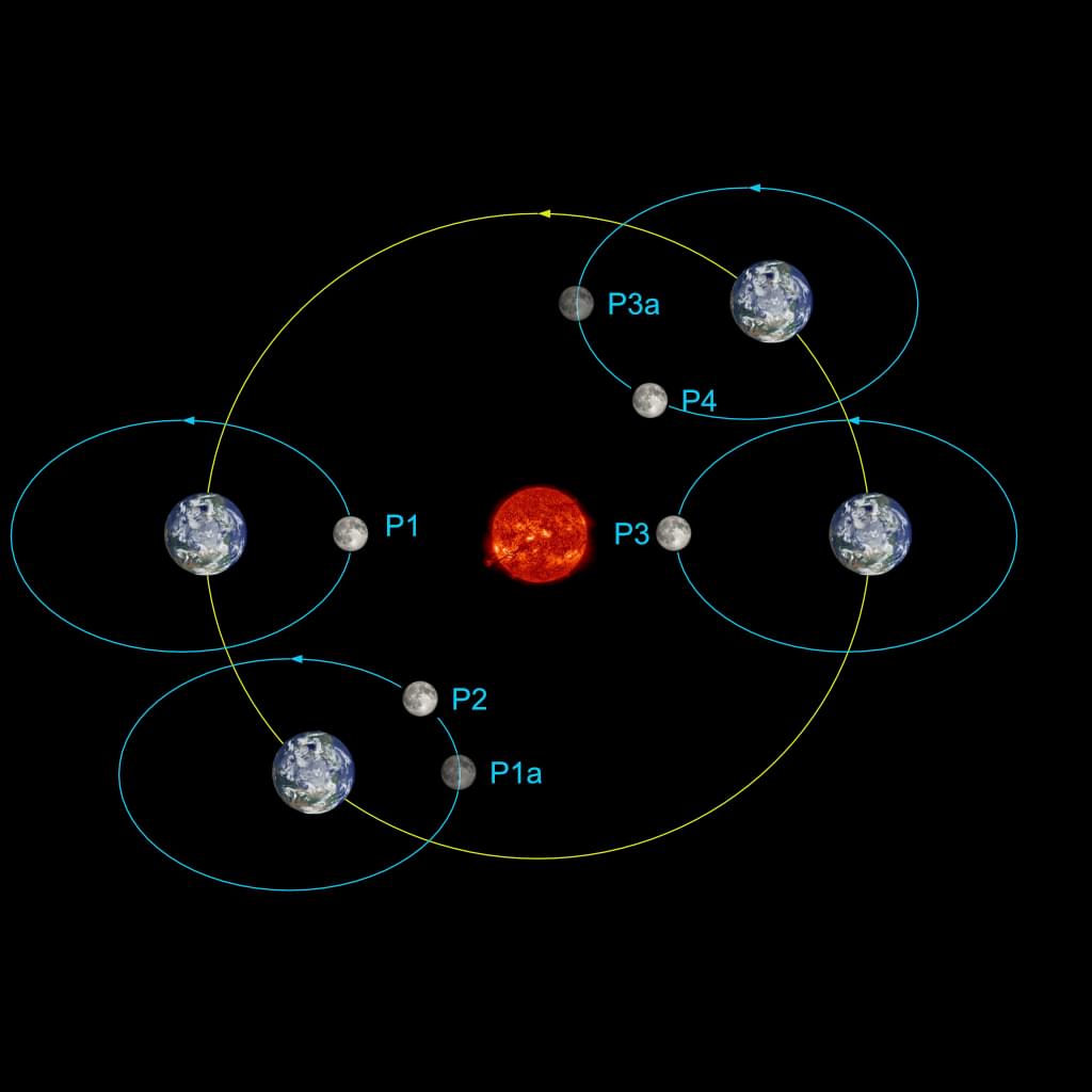 synodisch